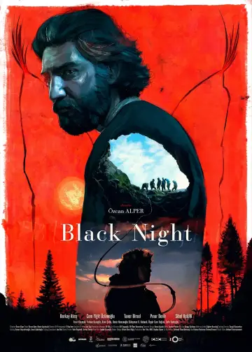Plakat do filmu "Ciemna noc" #192000