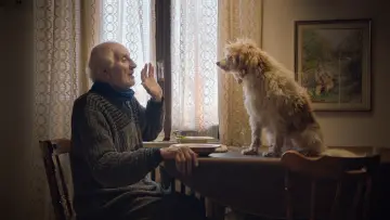 Zasłona do filmu "Truflarze" #435124