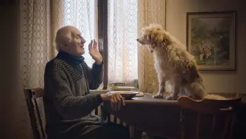 Zasłona do filmu "Truflarze" #435126