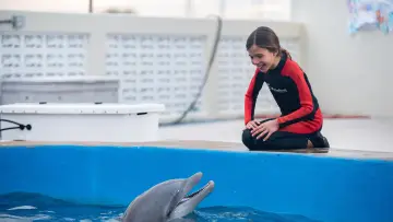 Zasłona do filmu "Bernie the Dolphin 2" #333277