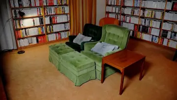 Wideo Bergmana plakat