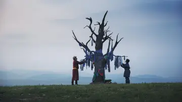 Zasłona do filmu "Żyły świata" #1584252
