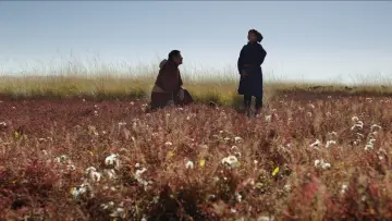 Zasłona do filmu "Żyły świata" #1584259