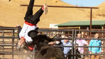 Zasłona do filmu "Jackass Forever" #348195