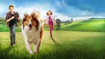 Zasłona do filmu "Lassie, wróć!" #1022792