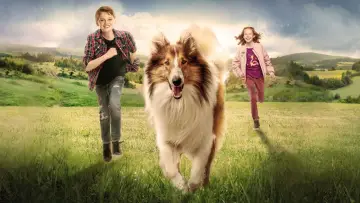 Zasłona do filmu "Lassie, wróć!" #384719