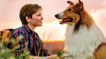 Zasłona do filmu "Lassie, wróć!" #384721