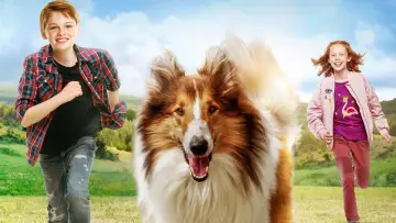 Zasłona do filmu "Lassie, wróć!" #384722