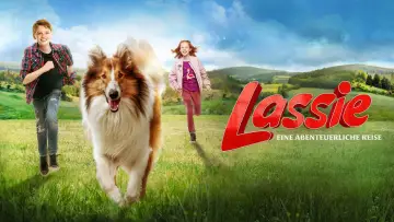 Zasłona do filmu "Lassie, wróć!" #384725