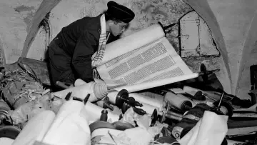 Zasłona do filmu "La Brigade des papiers" #1647862