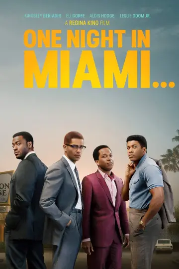 Plakat do filmu "Pewnej nocy w Miami..." #146679