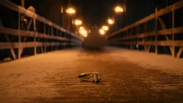 Zasłona do filmu "Trzy orzeszki dla Kopciuszka" #329181