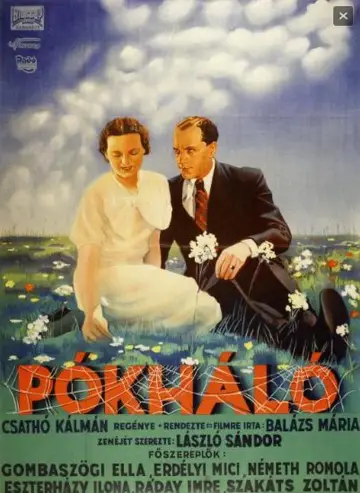 Plakat do filmu "Pókháló" #1188547