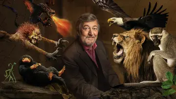Zasłona do filmu "Fantastyczne zwierzęta: Historia naturalna" #1060580