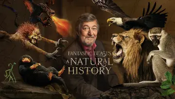 Zasłona do filmu "Fantastyczne zwierzęta: Historia naturalna" #1060581