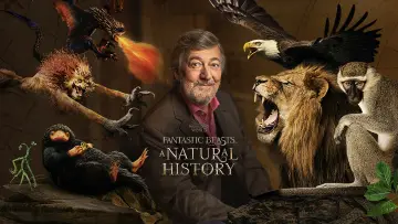 Zasłona do filmu "Fantastyczne zwierzęta: Historia naturalna" #1060583