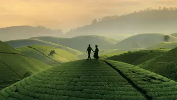 Zasłona do filmu "Black Tea" #192673