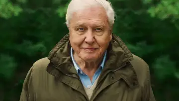 Zasłona do filmu "David Attenborough: Życie na naszej planecie" #335033