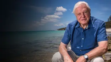 Zasłona do filmu "David Attenborough: Życie na naszej planecie" #335038