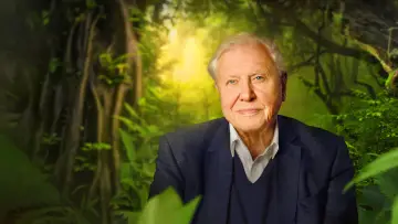 Zasłona do filmu "David Attenborough: Życie na naszej planecie" #812001