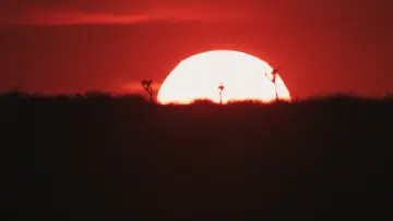 Zasłona do filmu "Ona jutro umrze" #1013109