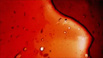 Zasłona do filmu "Ona jutro umrze" #1013110