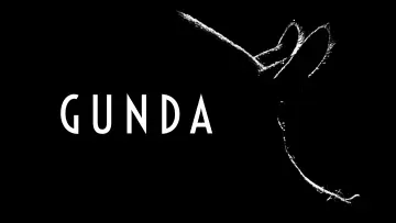 Zasłona do filmu "Gunda" #1588138