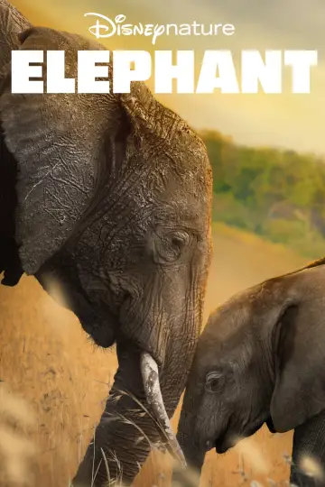 Plakat do filmu "Śladami słoni" #1078453