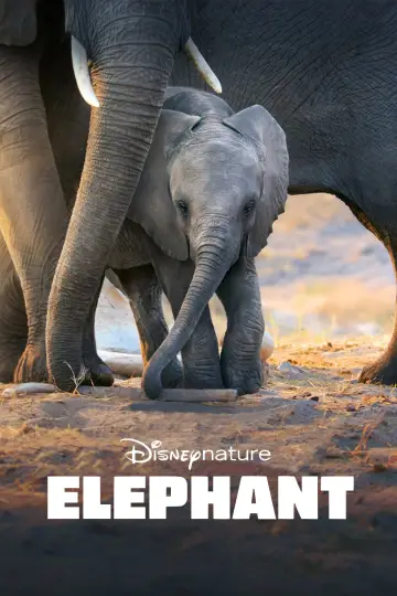 Plakat do filmu "Śladami słoni" #1078454