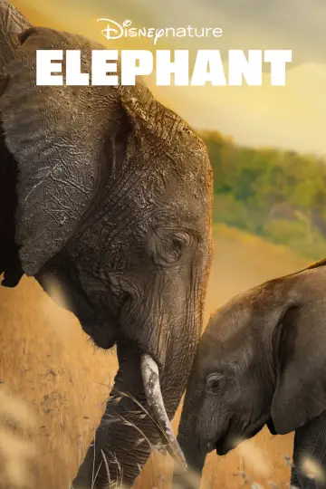 Plakat do filmu "Śladami słoni" #1078455