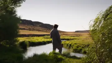 Zasłona do filmu "Wśród wyschniętych traw" #1209390