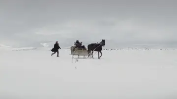 Zasłona do filmu "Wśród wyschniętych traw" #192436