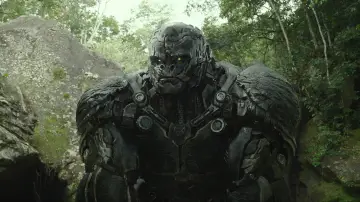 Zasłona do filmu "Transformers - Przebudzenie bestii" #587714