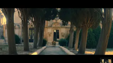 Zasłona do filmu "Życie przed sobą" #266756