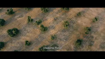 Zasłona do filmu "Życie przed sobą" #266759