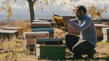 Zasłona do filmu "Zło nie istnieje" #372514