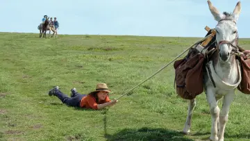 Zasłona do filmu "Osiołek, kochanek i ja" #435326