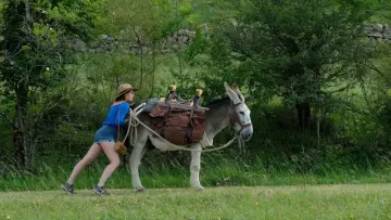 Zasłona do filmu "Osiołek, kochanek i ja" #435327