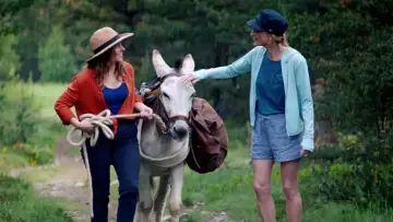 Zasłona do filmu "Osiołek, kochanek i ja" #435328