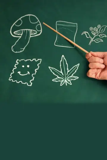 Plakat do filmu "Życzymy udanej jazdy: Psychodeliczne przygody" #484078