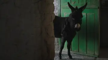 Zasłona do filmu "Duchy Inisherin" #693700
