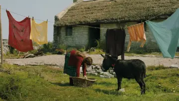 Zasłona do filmu "Duchy Inisherin" #693706