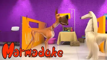 Zasłona do filmu "Pies w rozmiarze XXL" #112947