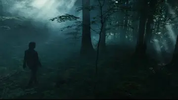Zasłona do filmu "Powrót do Silent Hill" #508929