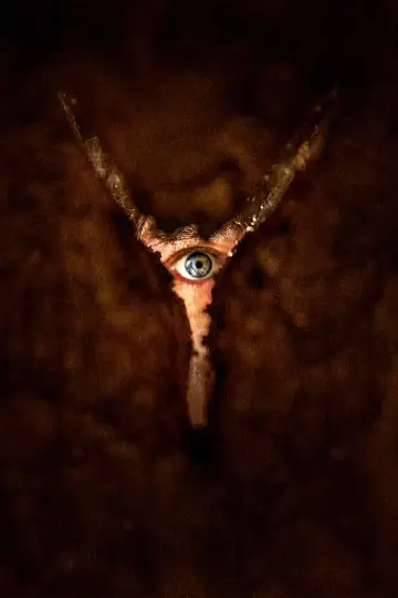 Plakat do filmu "Powrót do Silent Hill" #508970
