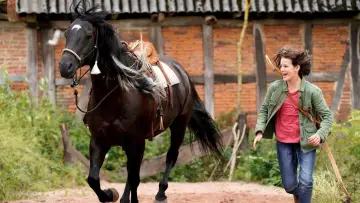 Zasłona do filmu "Wicher. Ostatni rozdział" #440188