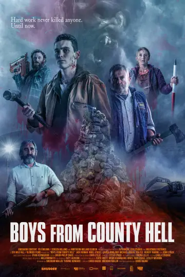 Plakat do filmu "Boys from County Hell" #1066419