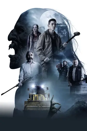 Plakat do filmu "Boys from County Hell" #1066423