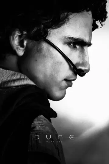 Plakat do filmu "Diuna: Część druga" #912951