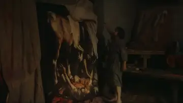 Zasłona do filmu "L